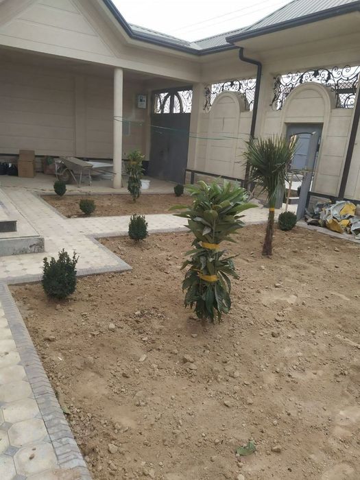 Gazon va archalar bor