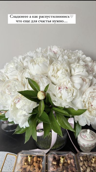 Ароматные бутончики пионов