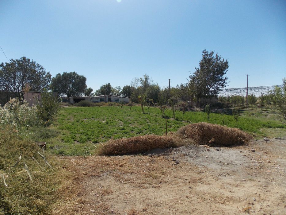 Ер сотилади. Когон тум,БАХОВУДДИН НАКШБАНД,Киракашхона кишлоги 50сотик