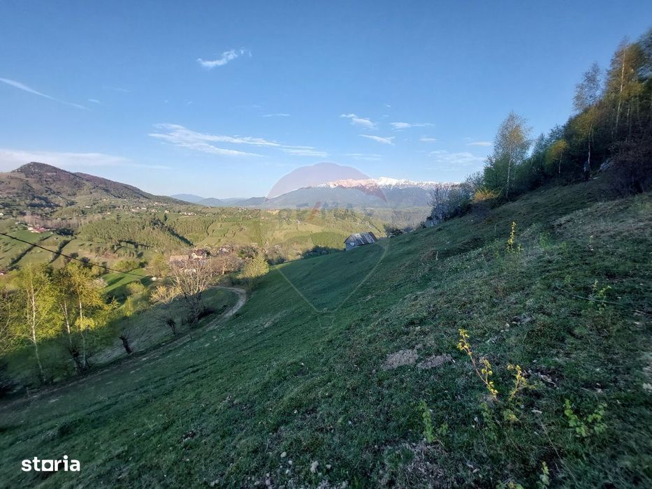 Teren 2,227mp Pestera / acces din Strada Principala