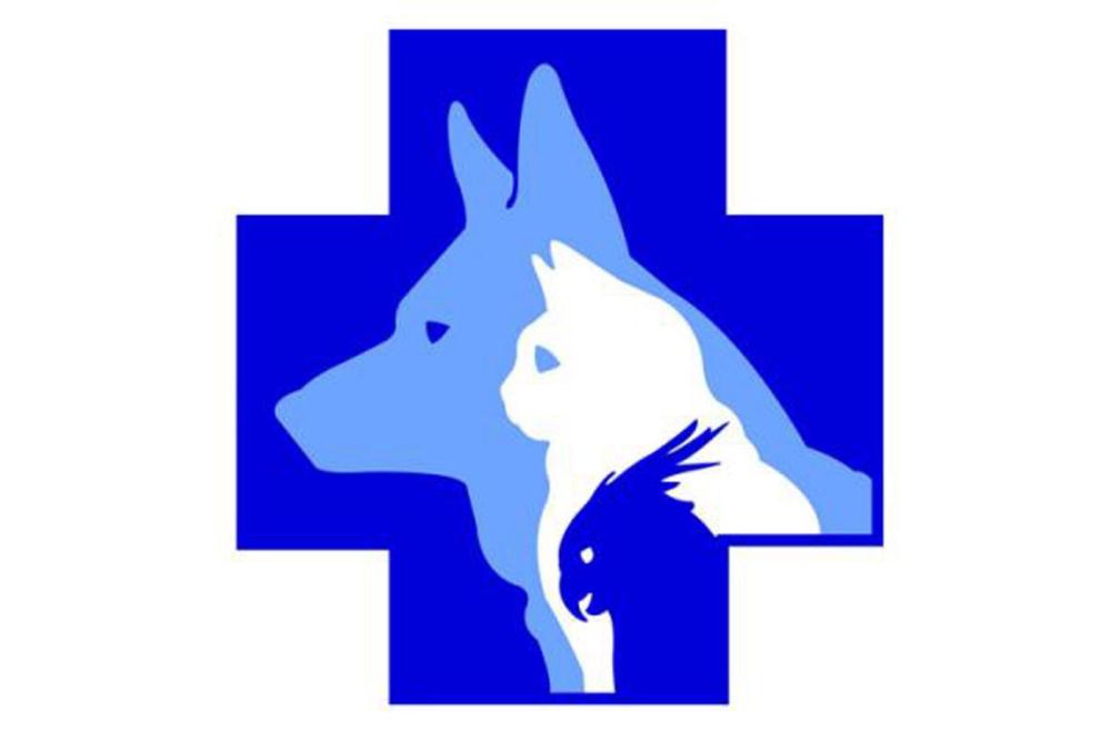 Услуги: Ветеринара