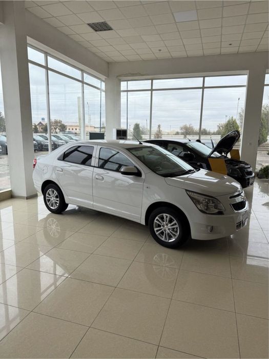 MCM Cobalt Stayl 2026