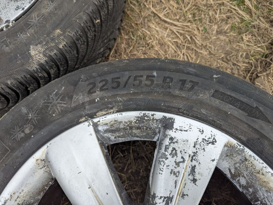 jente audi originale.