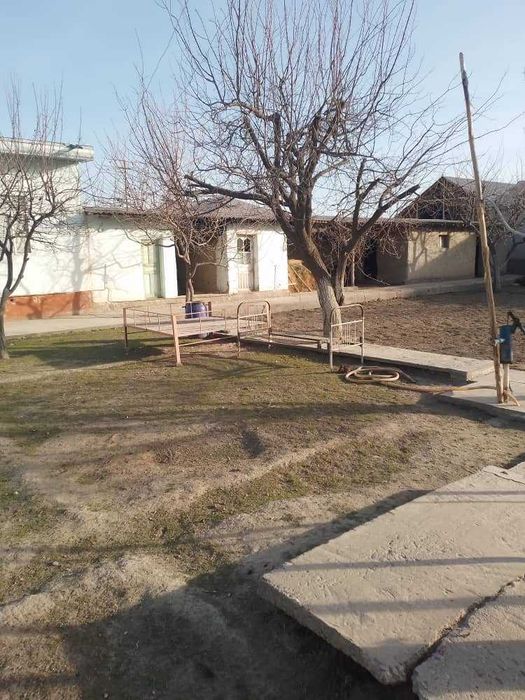 Xovli sotiladi 8 sotix Jomboy tumani Katta qishloq MFY