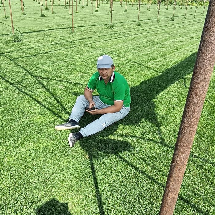 Газон экиш Автополивное система и газон