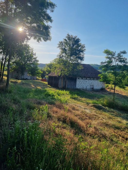 De vânzare proprietate deosebită in judetul Bihor Comuna Orvisele