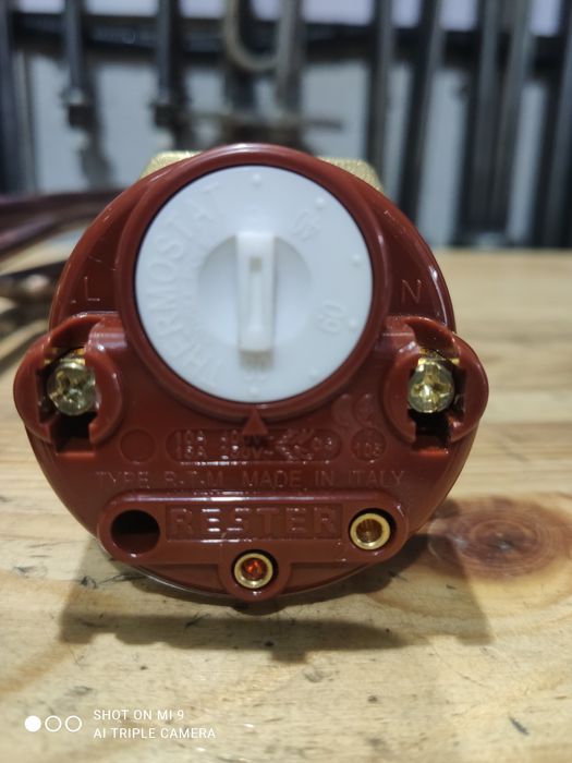 Тэн с терморегулятором