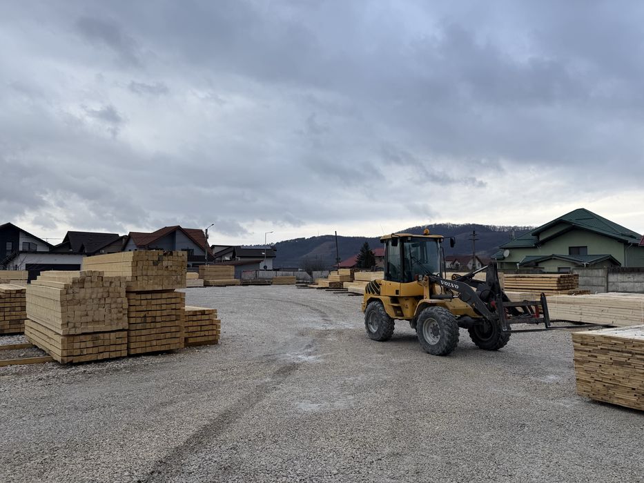 CHERESTEA Toata Raza Brasovului