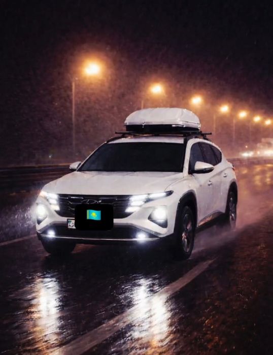 Аренда авто с водителем