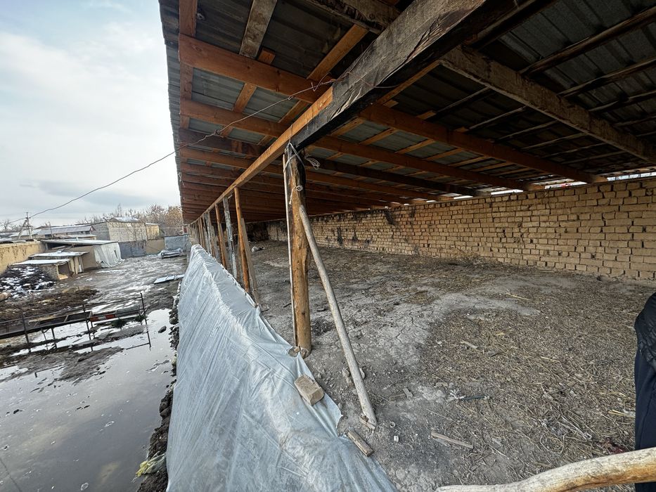 Tashgresda ferma sotiladi