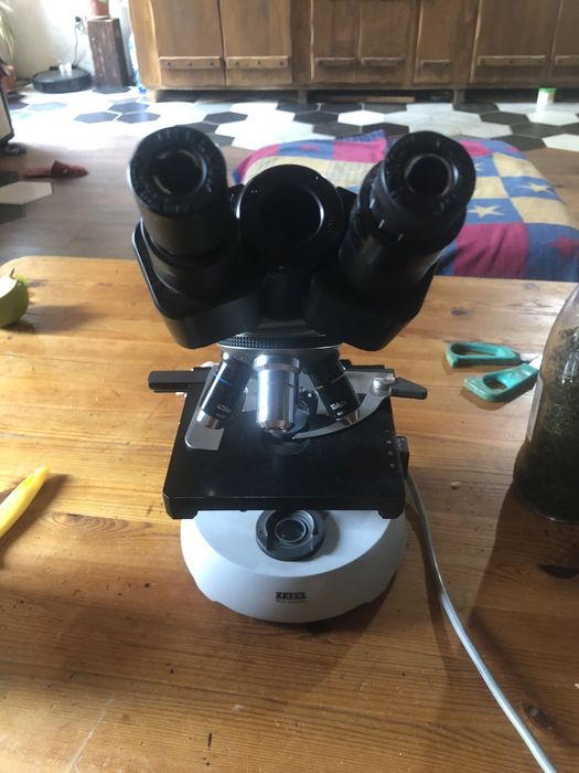 Microscop carl zeiss