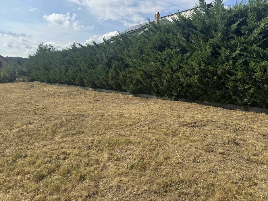 Kolcza, teren intravilan, cu plan casa si autorizatie construire