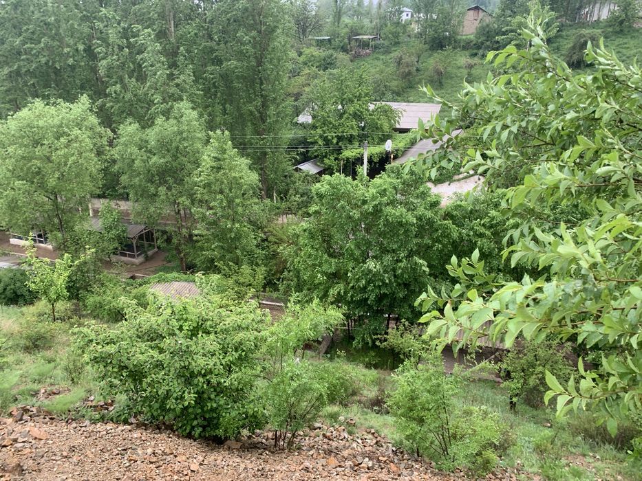 Dacha choyxona sotiladi