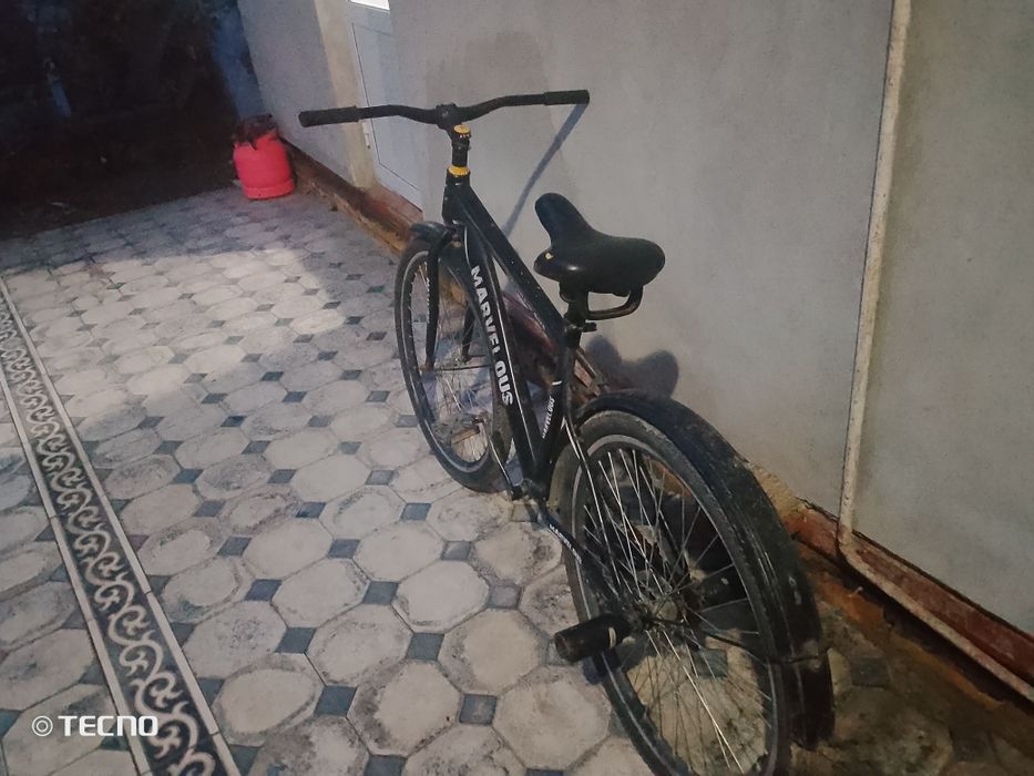 Yechqayr buzilmagan gonchik