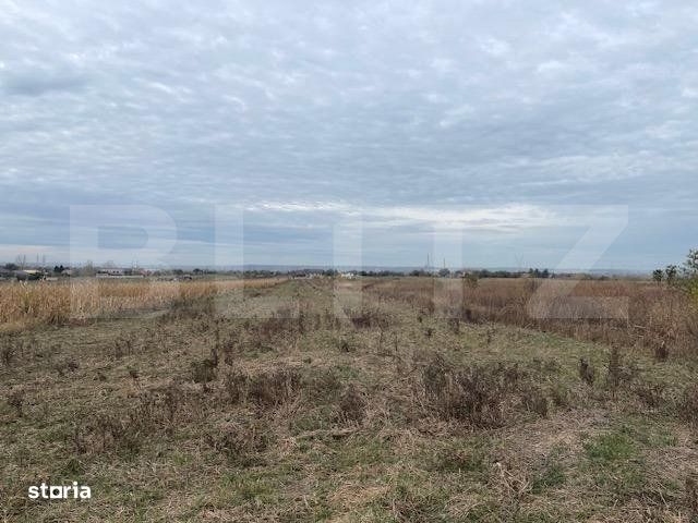 Teren extravilan de 2539 mp in Dudovicesti