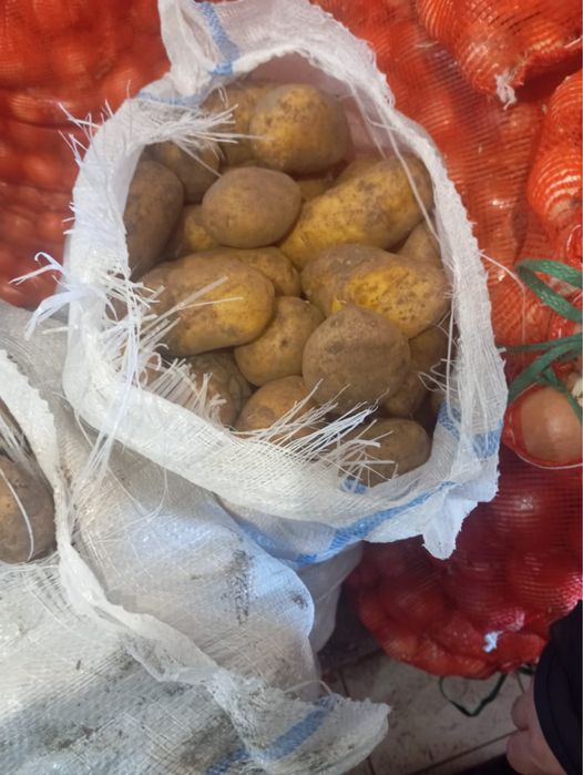 Продам фрукты/овощи