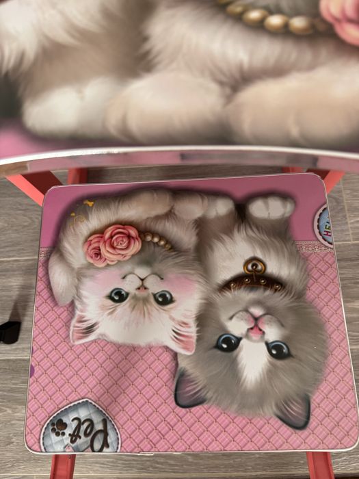 Masă cu scaun pentru fete