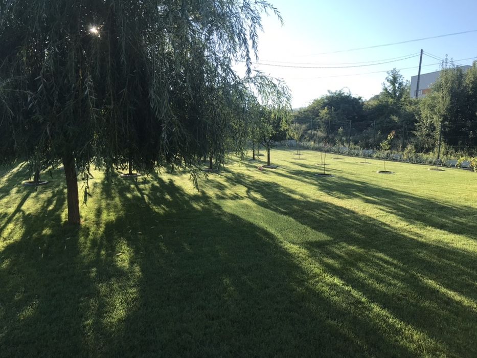 Amenajare spatii, irigatii profesionale/ intretinere gradina