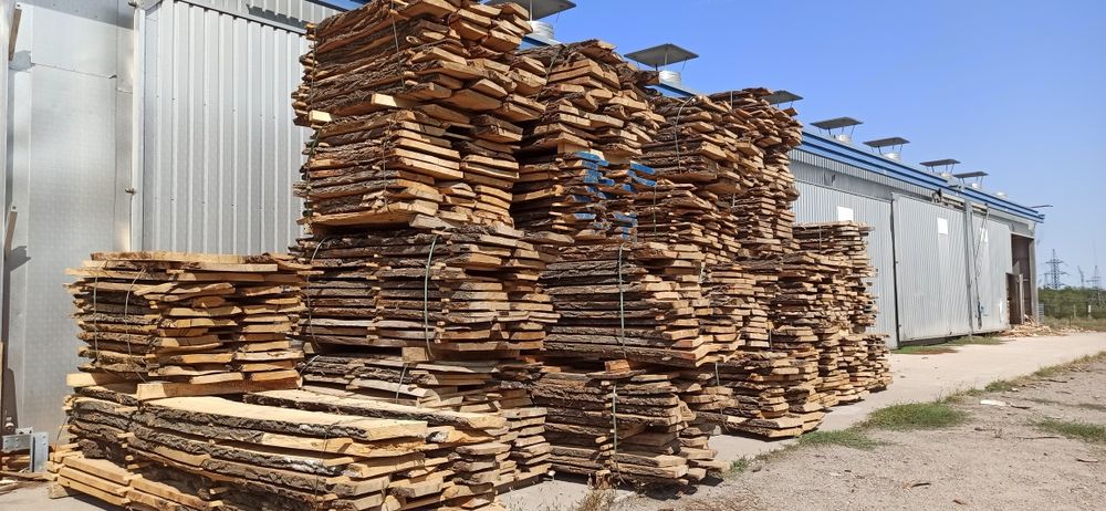 Карагач, берёза , дуб ясень