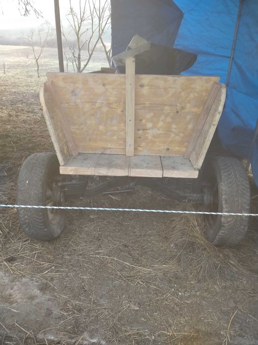 Schimb cu caii caruta