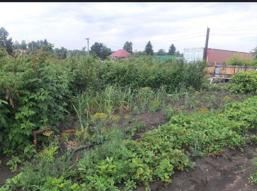 ПРОДАЁТСЯ дача 6 соток !!!