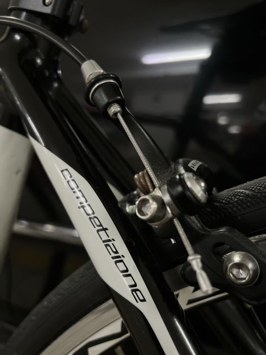 Wilier Triestina