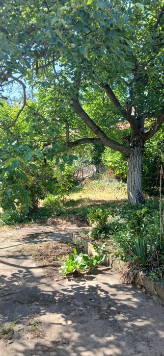 Къща с двор, гараж и лятна кухня