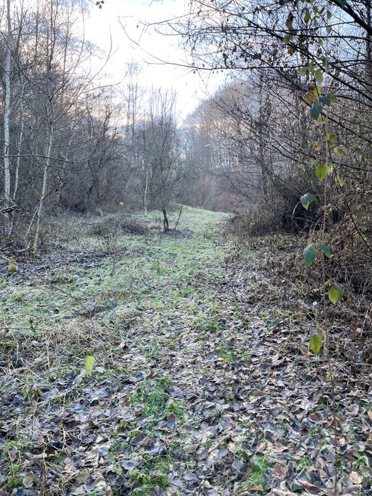 Vand teren extravilan 15000m in Valea Lunga-Dambovita cu padure, ideal pentru investitii