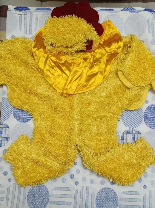 Новогодни костюм