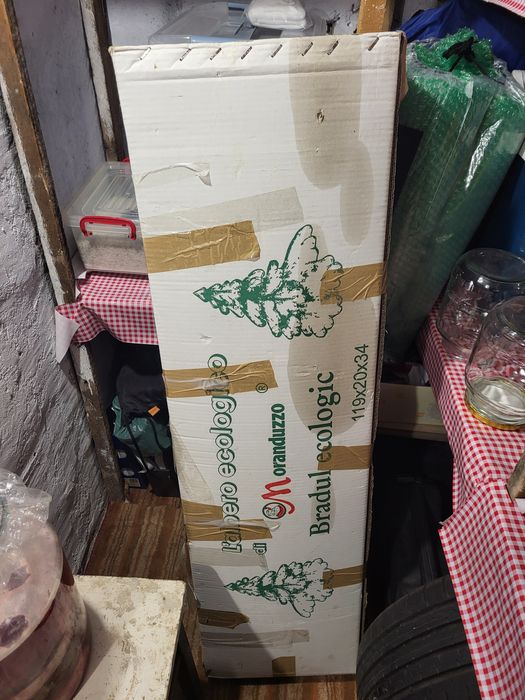 Brad ecologic de Crăciun