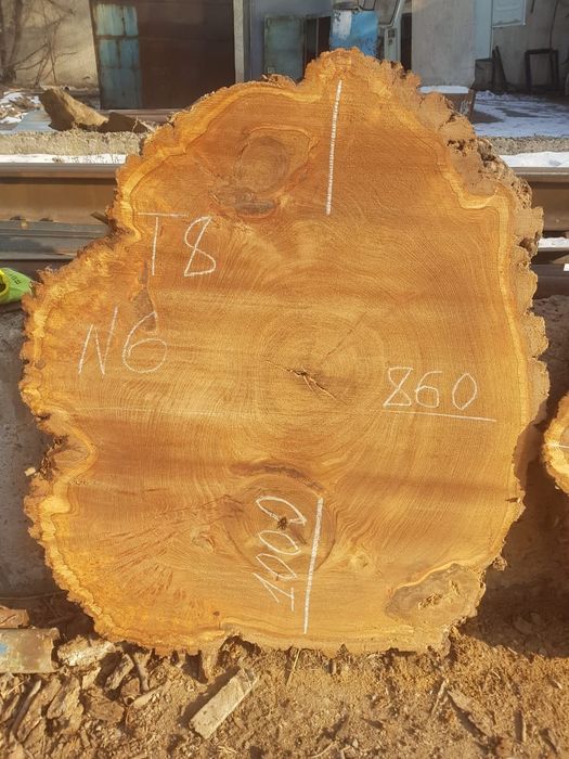 Карагач слэбы больших размеров