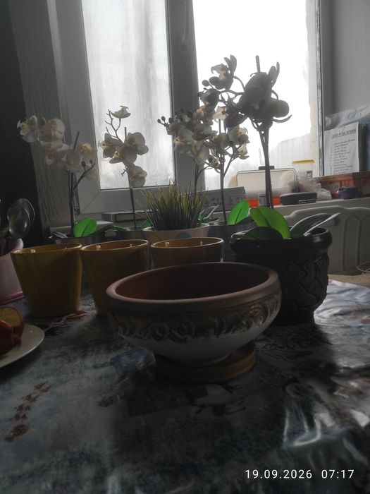 Товары для дома с доставкой б/у