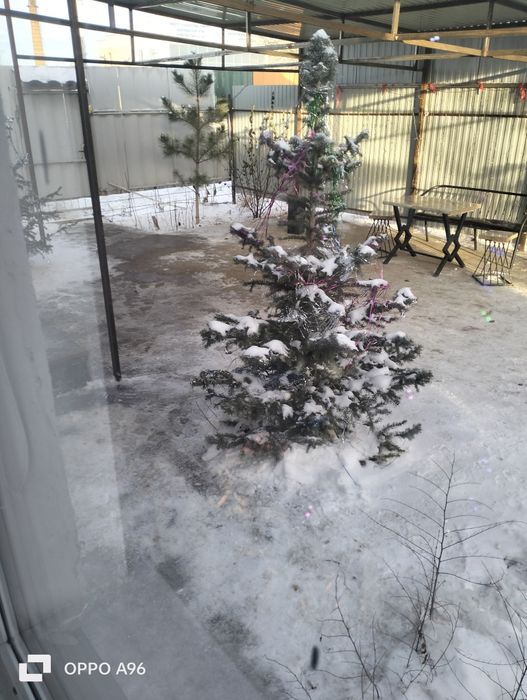 Аренда суточно дом