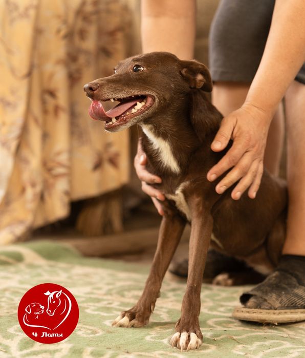 Ищем маму и папу