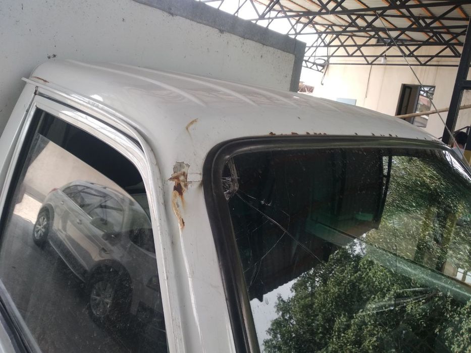 labo sotiladi srocna