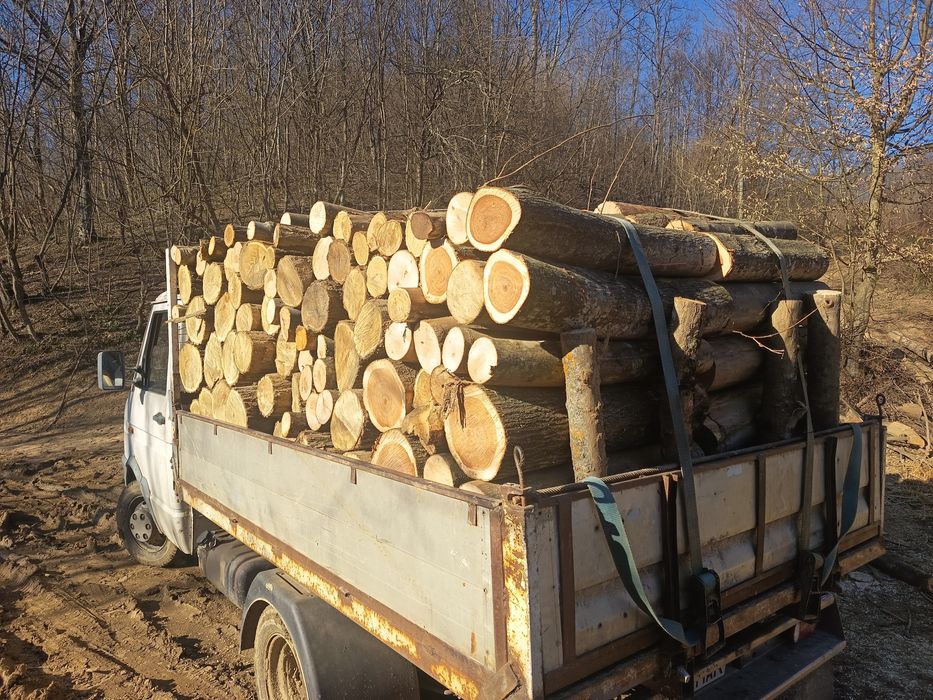 Lemne de foc , esență tare! Fag, Carpen, Stejar, Salcâm