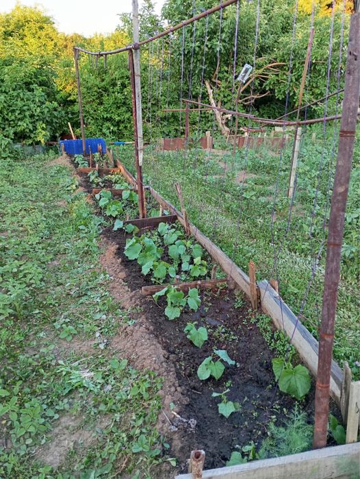 Дача в пос. Новая-Бухтарма