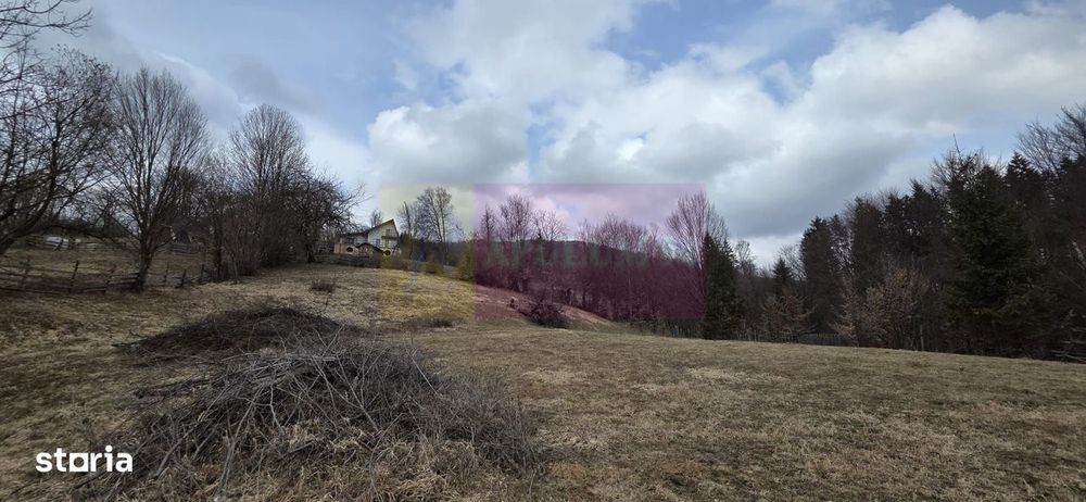 Teren intravilan de vanzare in Valea Doftanei