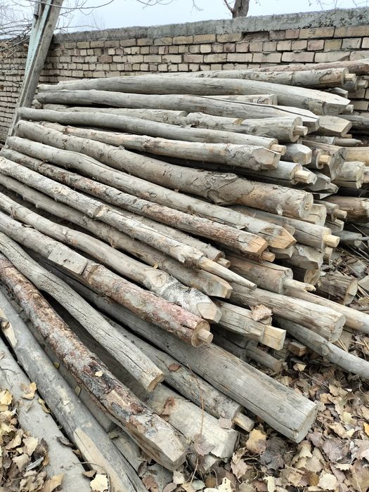 cho'p  bolor qalama o'rtacha 3 m