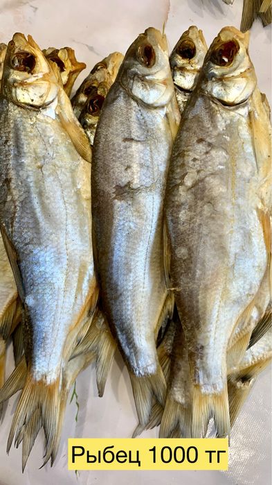 Рыба вчленая, сушеная, домашняя