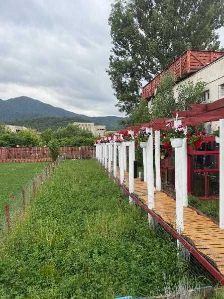 Complex Multifuncțional de Închiriat – Brașov, Astra-Noua | 25 camere + curte