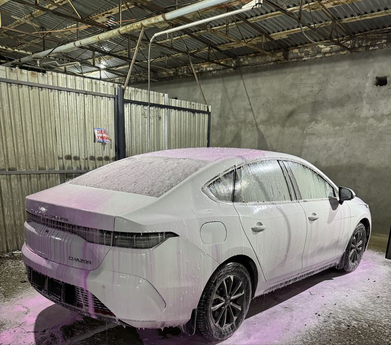 BYD Chazor luxe (2-poz) 2025