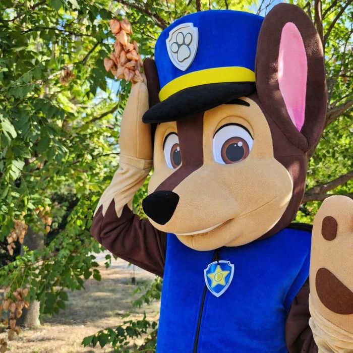 Chase Paw Patrol Costum Mascota Premium Profesional Lux