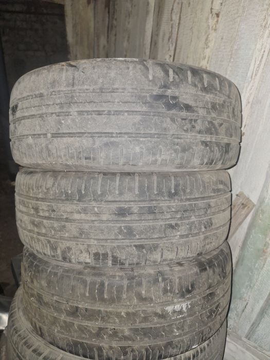 Шины  Continental R15