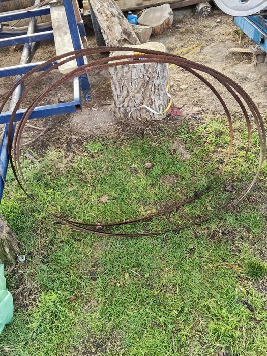 Vând 5 pânze de banzic.