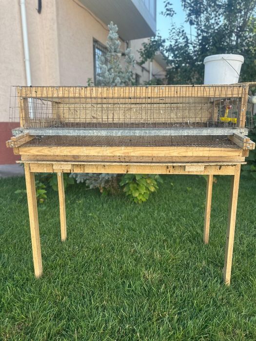 Бөдене Перепёлка