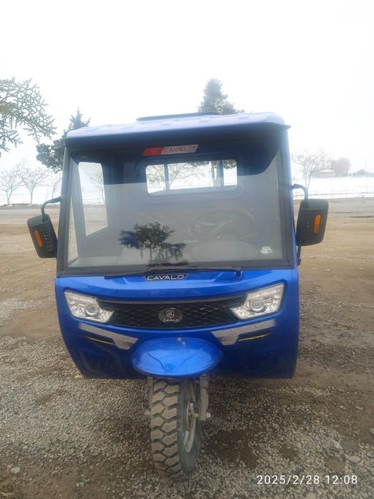 Mataruel cavalo brendi