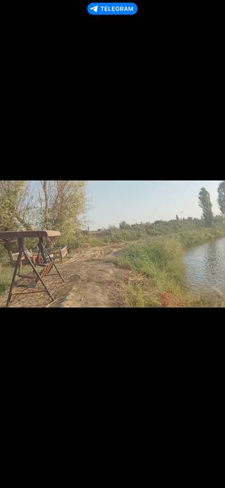 Пруды, рыбалка, клев отличный