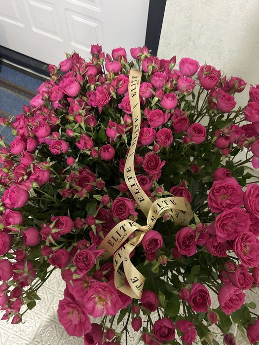 Продам цвеиы срочно, с выгодной ценой