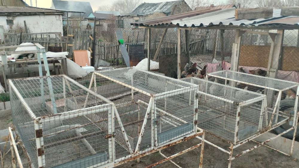 Продам клетки для кроликов